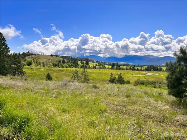 $149,900 | 39 Moonlight Drive, Curlew, WA 99118