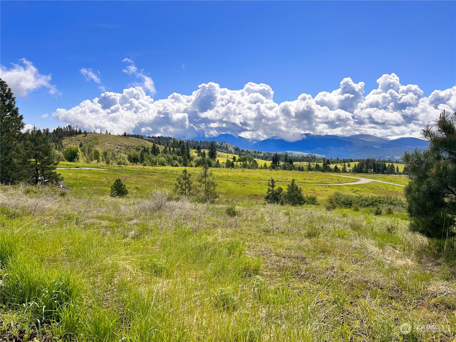 39 Moonlight Drive Curlew, WA 99118 - Photo 18 of 20