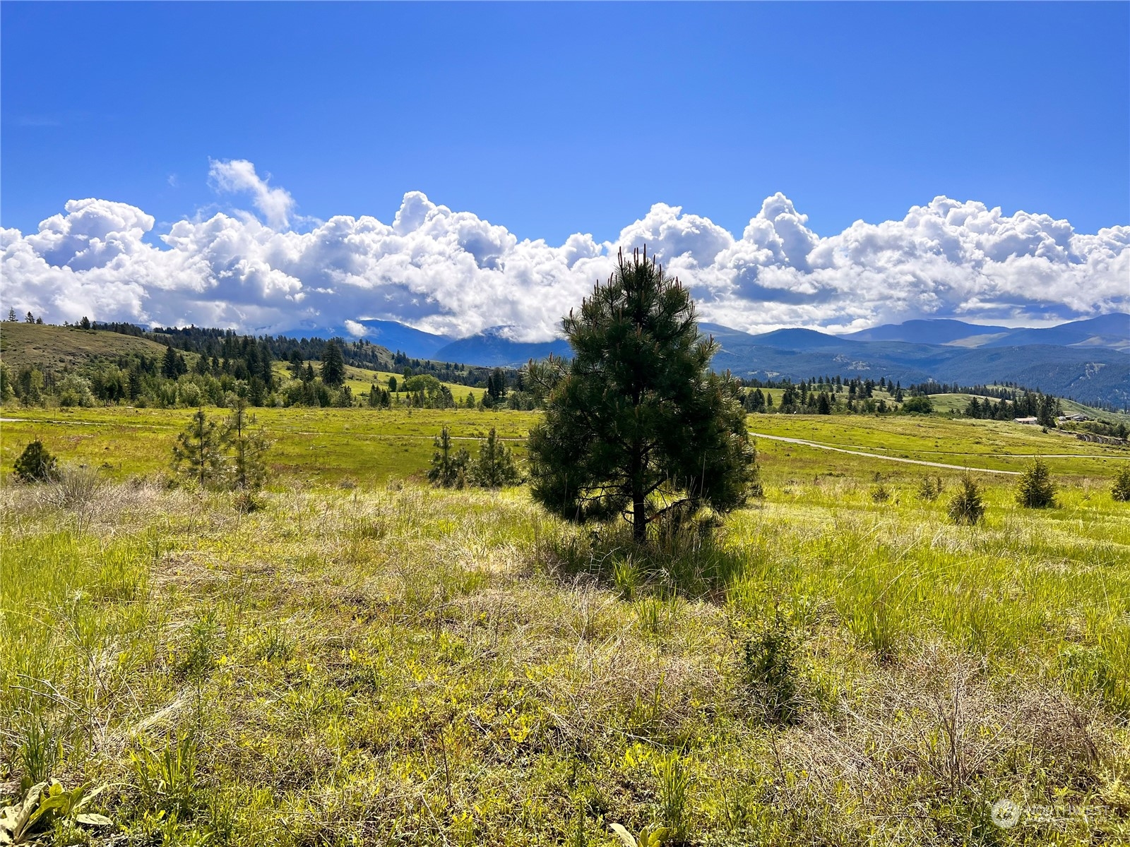 39 Moonlight Drive Curlew, WA 99118 - Photo 19 of 20