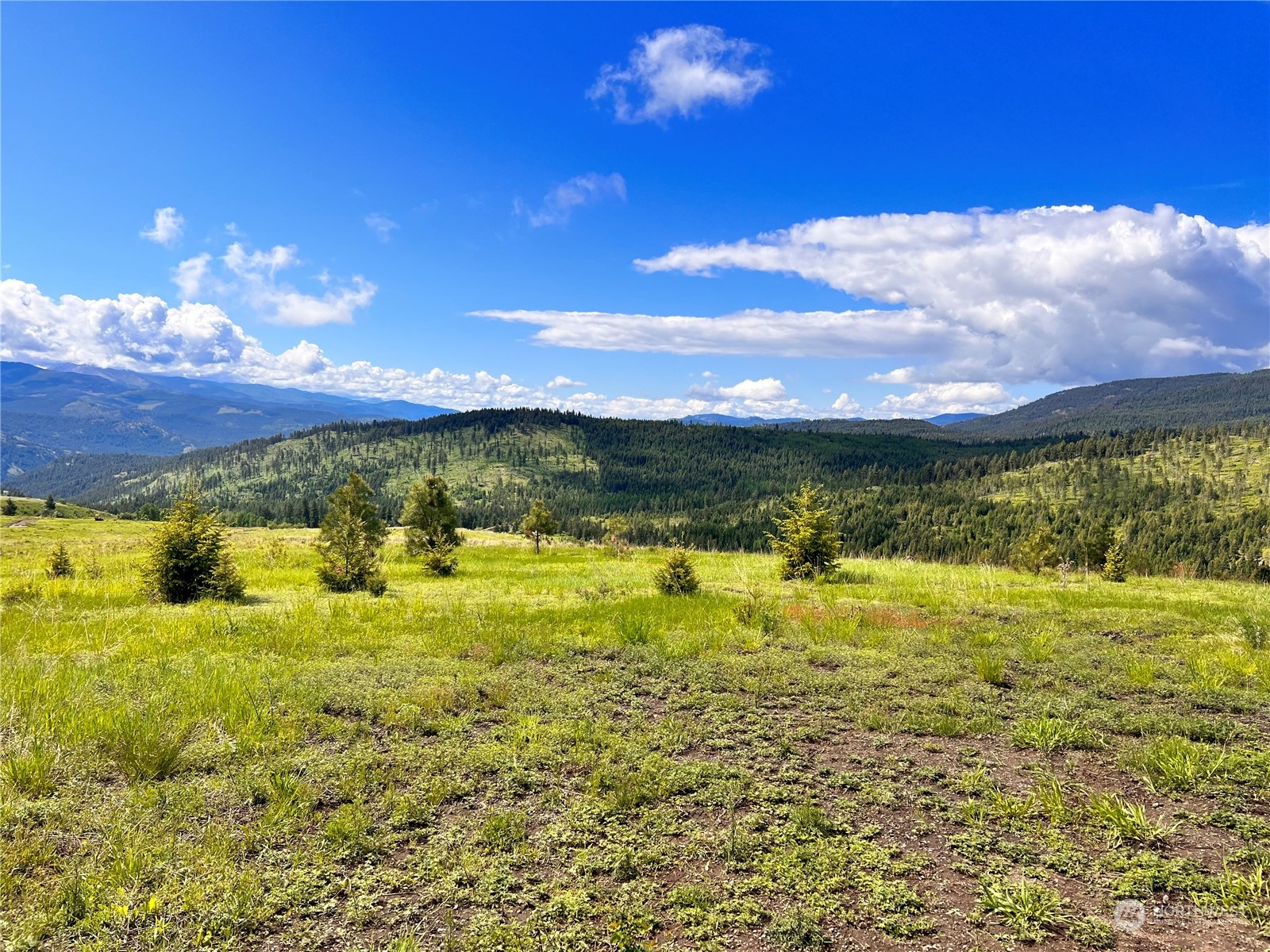 39 Moonlight Drive Curlew, WA 99118 - Photo 2 of 20