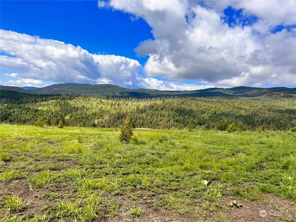 $149,900 | 39 Moonlight Drive, Curlew, WA 99118