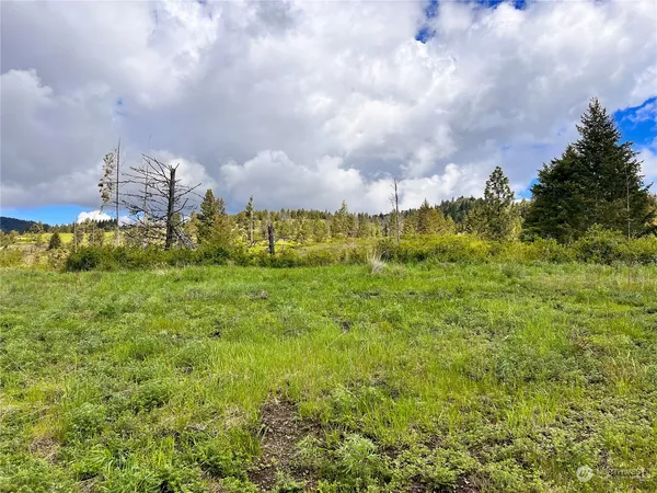 $149,900 | 39 Moonlight Drive, Curlew, WA 99118