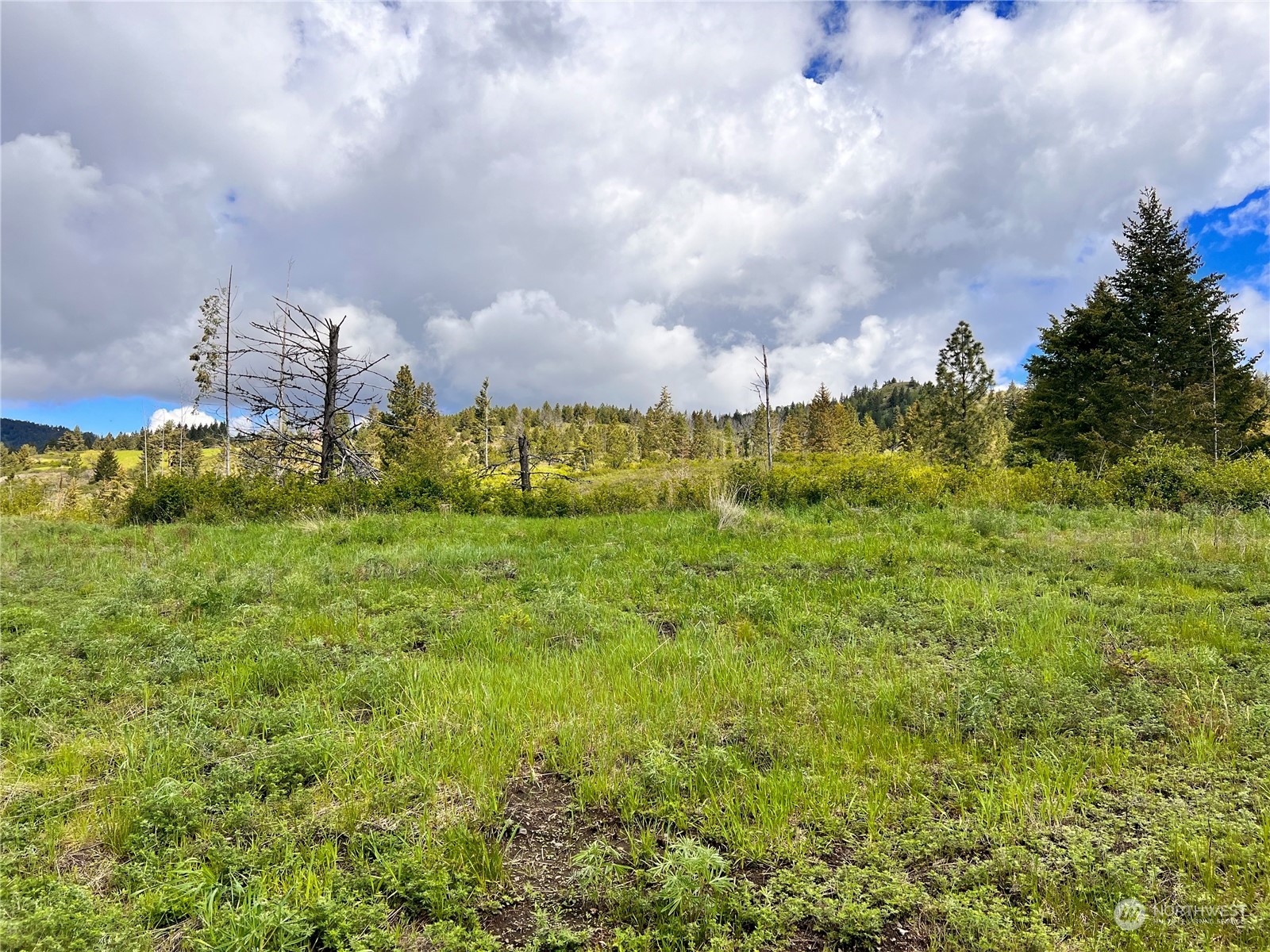 39 Moonlight Drive Curlew, WA 99118 - Photo 4 of 20