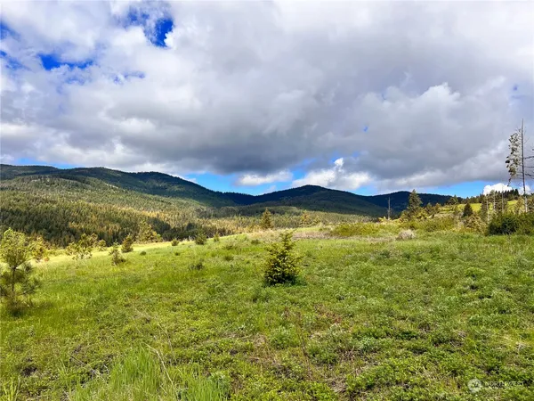 $149,900 | 39 Moonlight Drive, Curlew, WA 99118