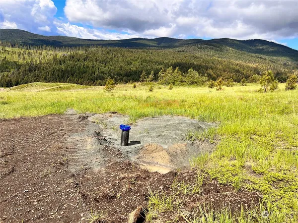 $149,900 | 39 Moonlight Drive, Curlew, WA 99118