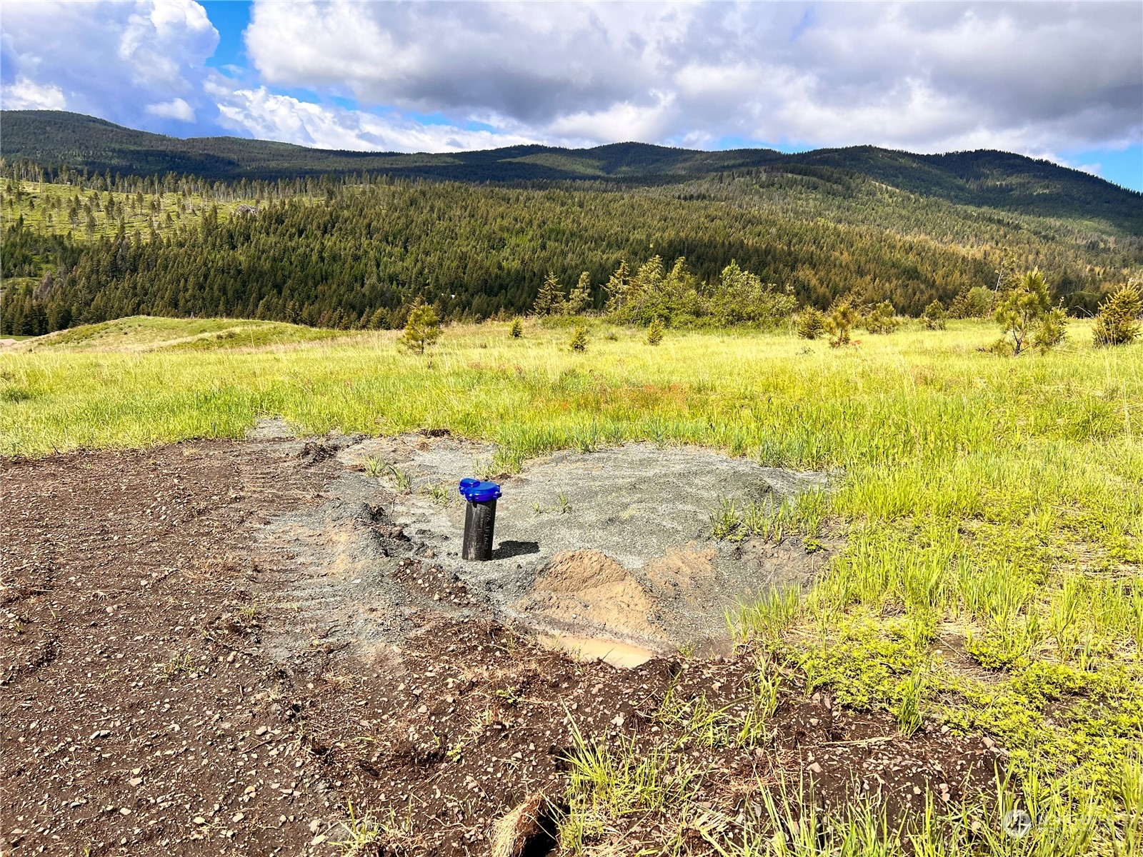 39 Moonlight Drive Curlew, WA 99118 - Photo 6 of 20