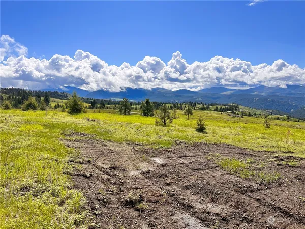 $149,900 | 39 Moonlight Drive, Curlew, WA 99118