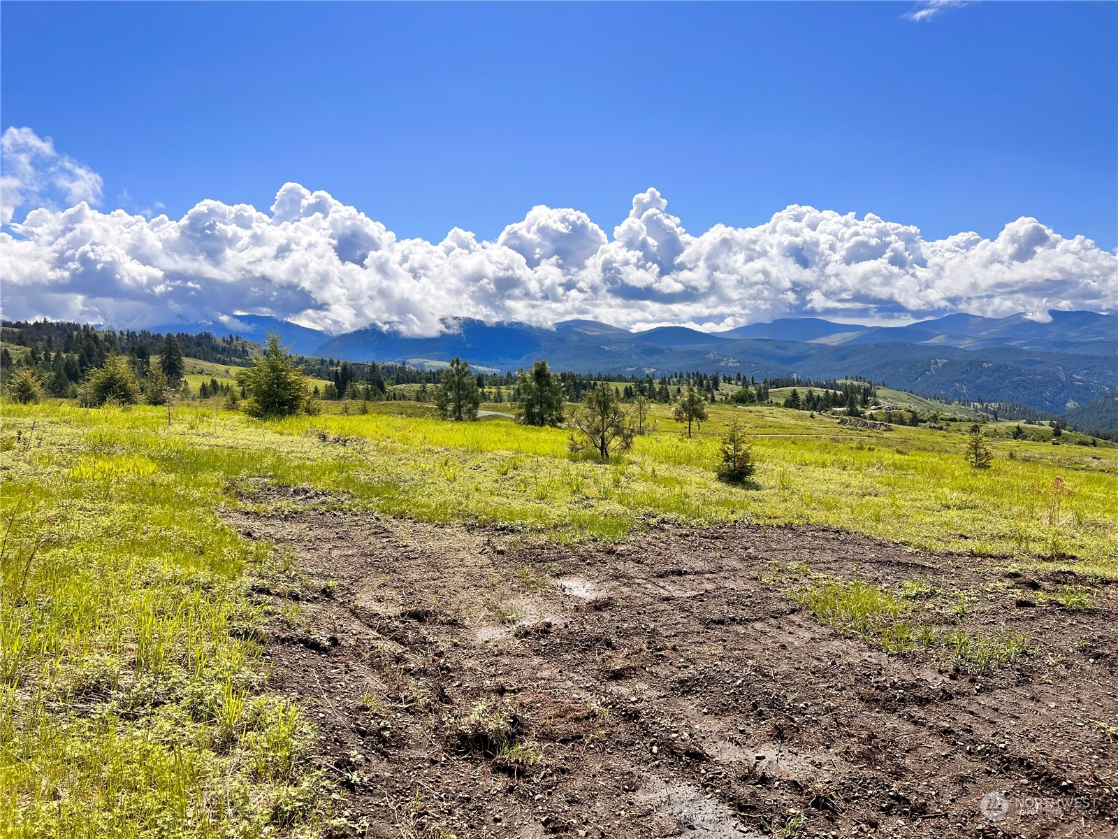 39 Moonlight Drive Curlew, WA 99118 - Photo 7 of 20