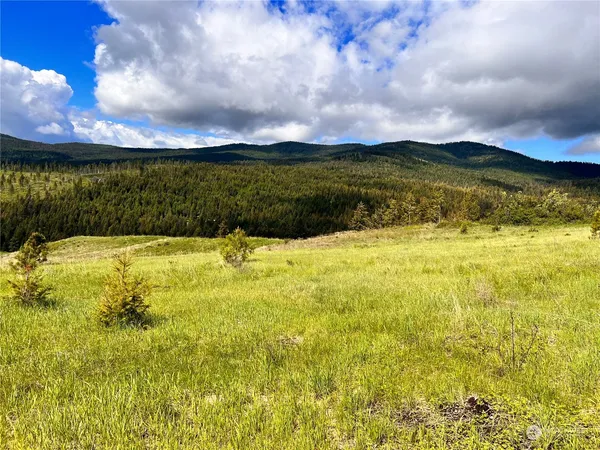 $149,900 | 39 Moonlight Drive, Curlew, WA 99118