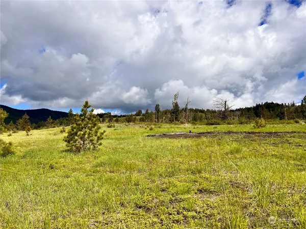 $149,900 | 39 Moonlight Drive, Curlew, WA 99118