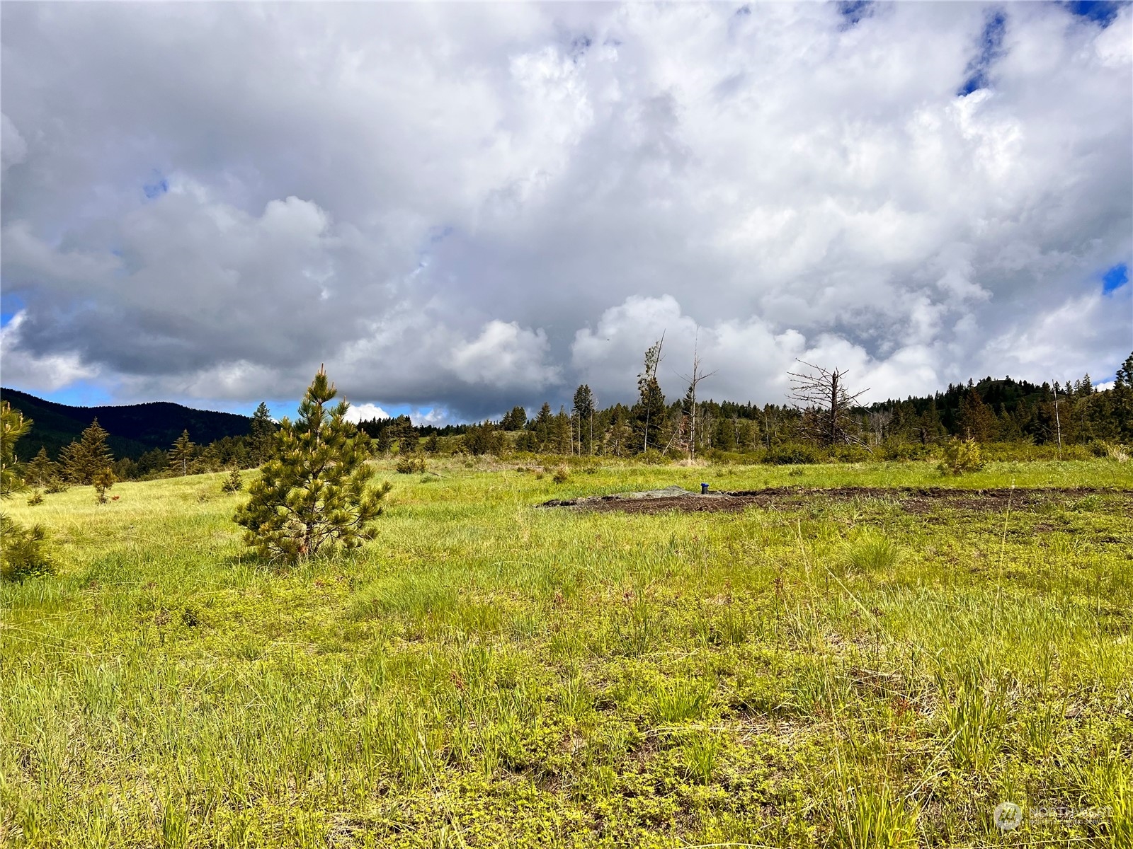 39 Moonlight Drive Curlew, WA 99118 - Photo 9 of 20