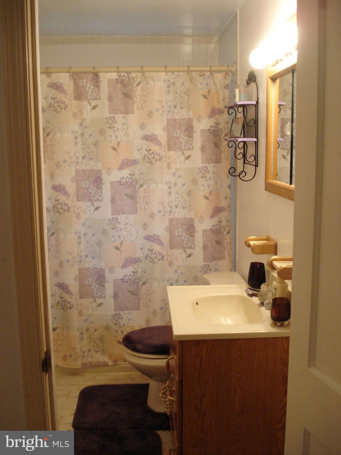2804 Topaz Road Baltimore, MD 21234 - Photo 16 of 30 Bath (Master)