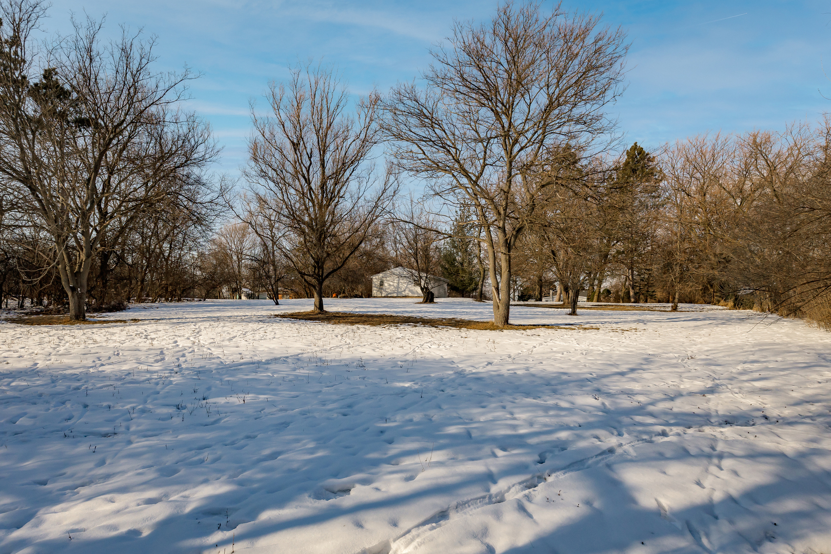 2985 87th Street Darien, IL 60561 - Photo 7 of 15 a view of empty space with trees