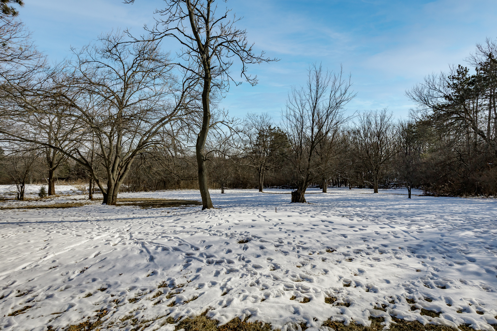 2985 87th Street Darien, IL 60561 - Photo 8 of 15 a wooden bench with a snow in the background