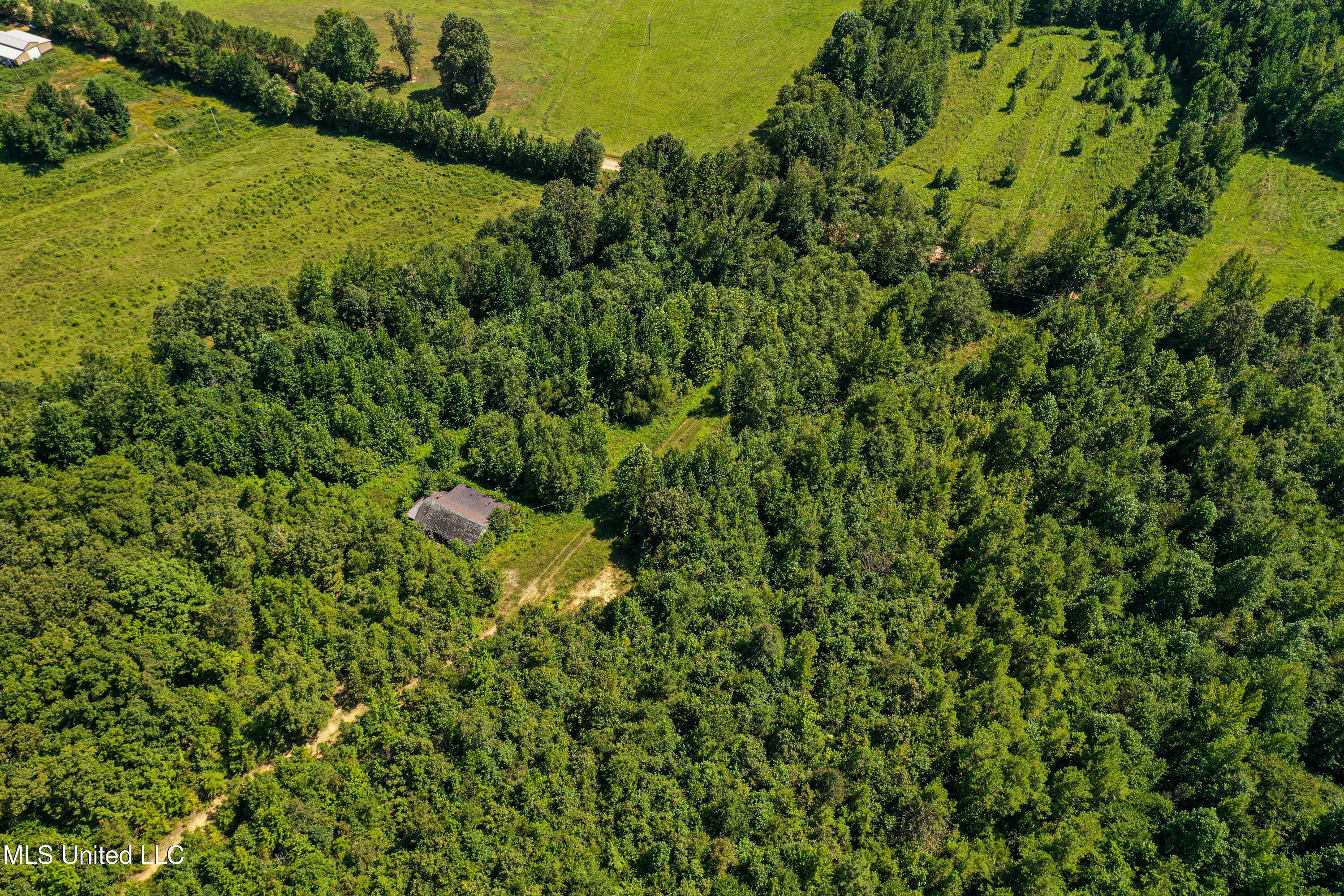 2295 Chapman Road Falkner, MS 38629 - Photo 14 of 48 DJI_0414