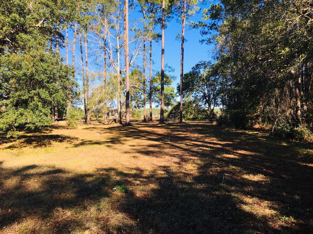 499 River Road Carrabelle, FL 32322 - Photo 19 of 21 Gallery Image 19