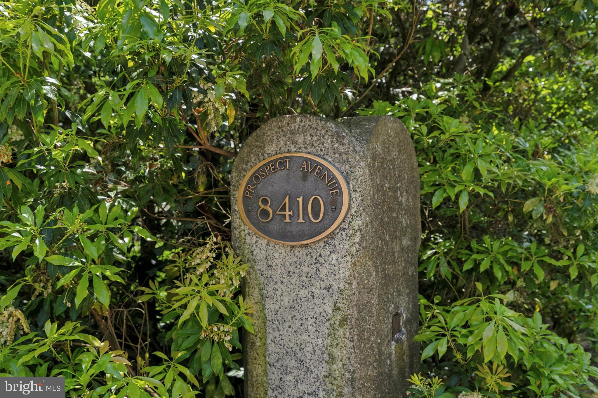 8410 Prospect Avenue Philadelphia, PA 19118 - Photo 46 of 46