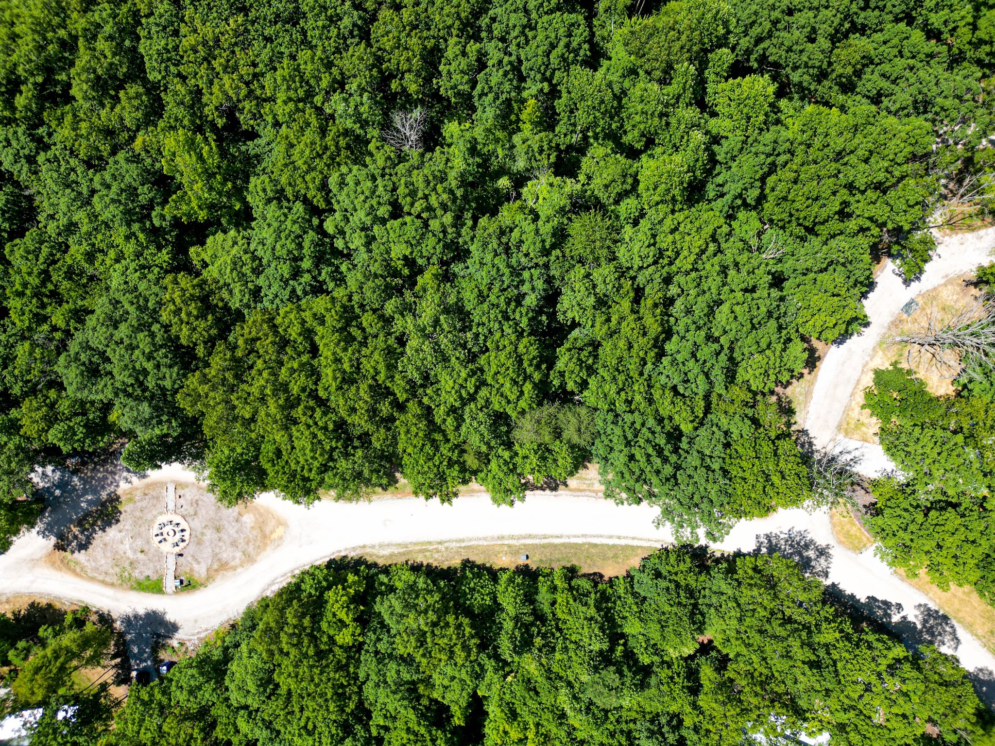 165 Sunset Bluff Monteagle, TN 37356 - Photo 4 of 11