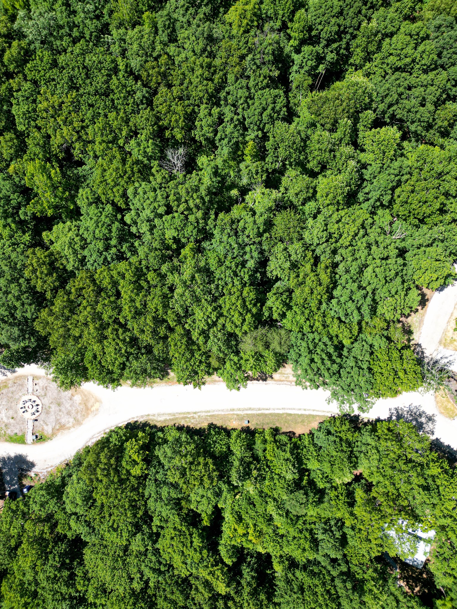 165 Sunset Bluff Monteagle, TN 37356 - Photo 5 of 11