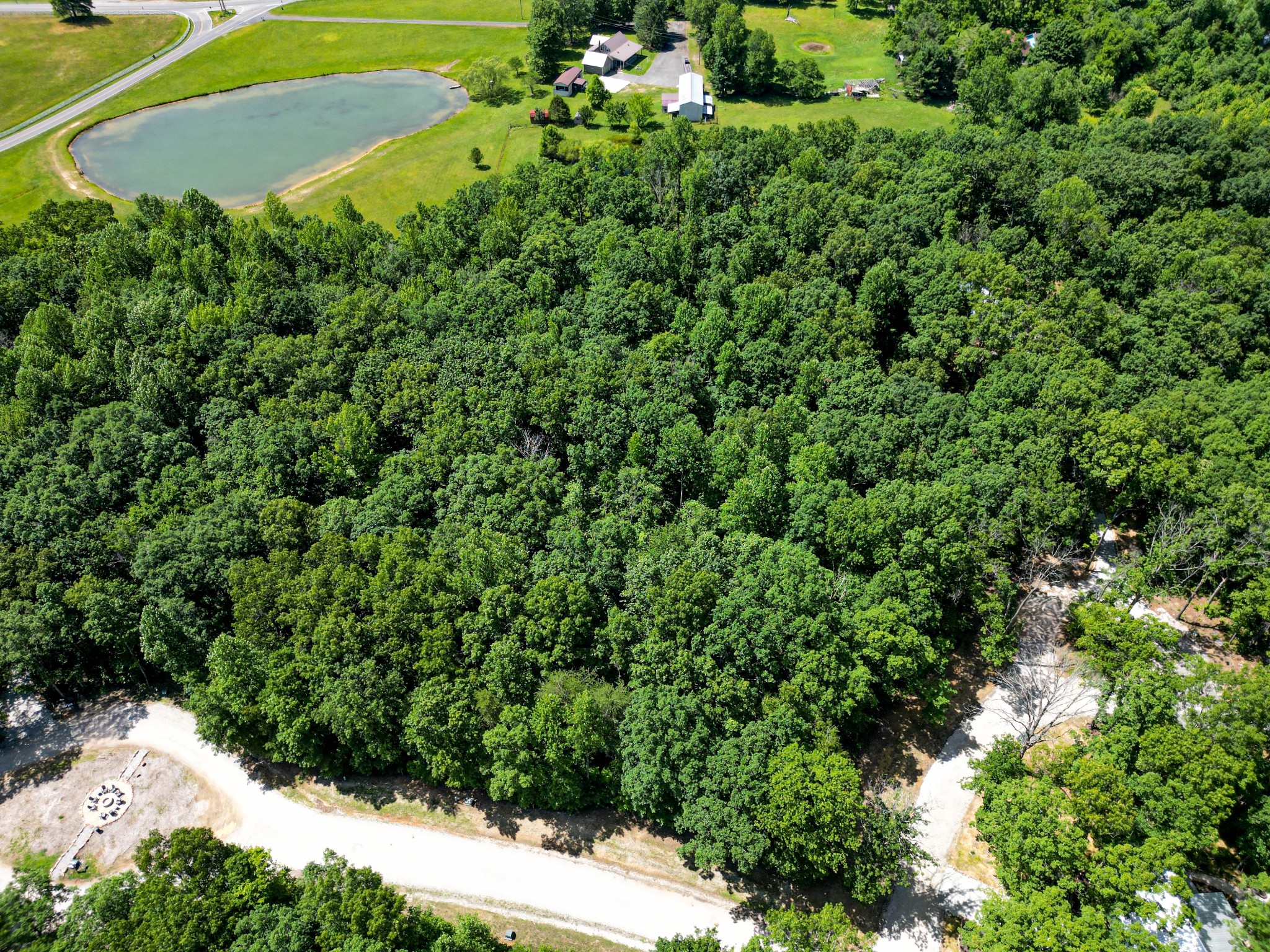 165 Sunset Bluff Monteagle, TN 37356 - Photo 7 of 11