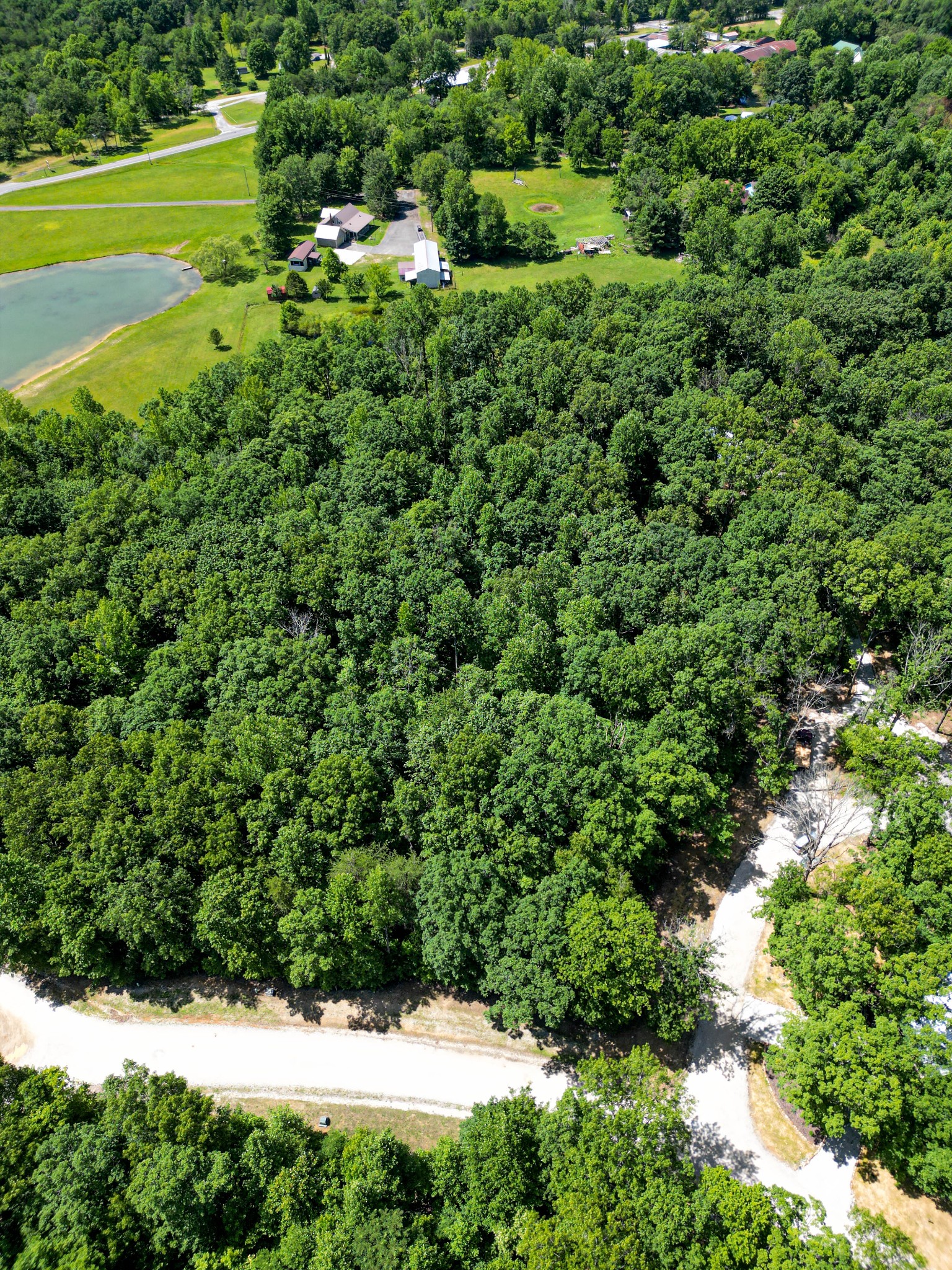 165 Sunset Bluff Monteagle, TN 37356 - Photo 8 of 11