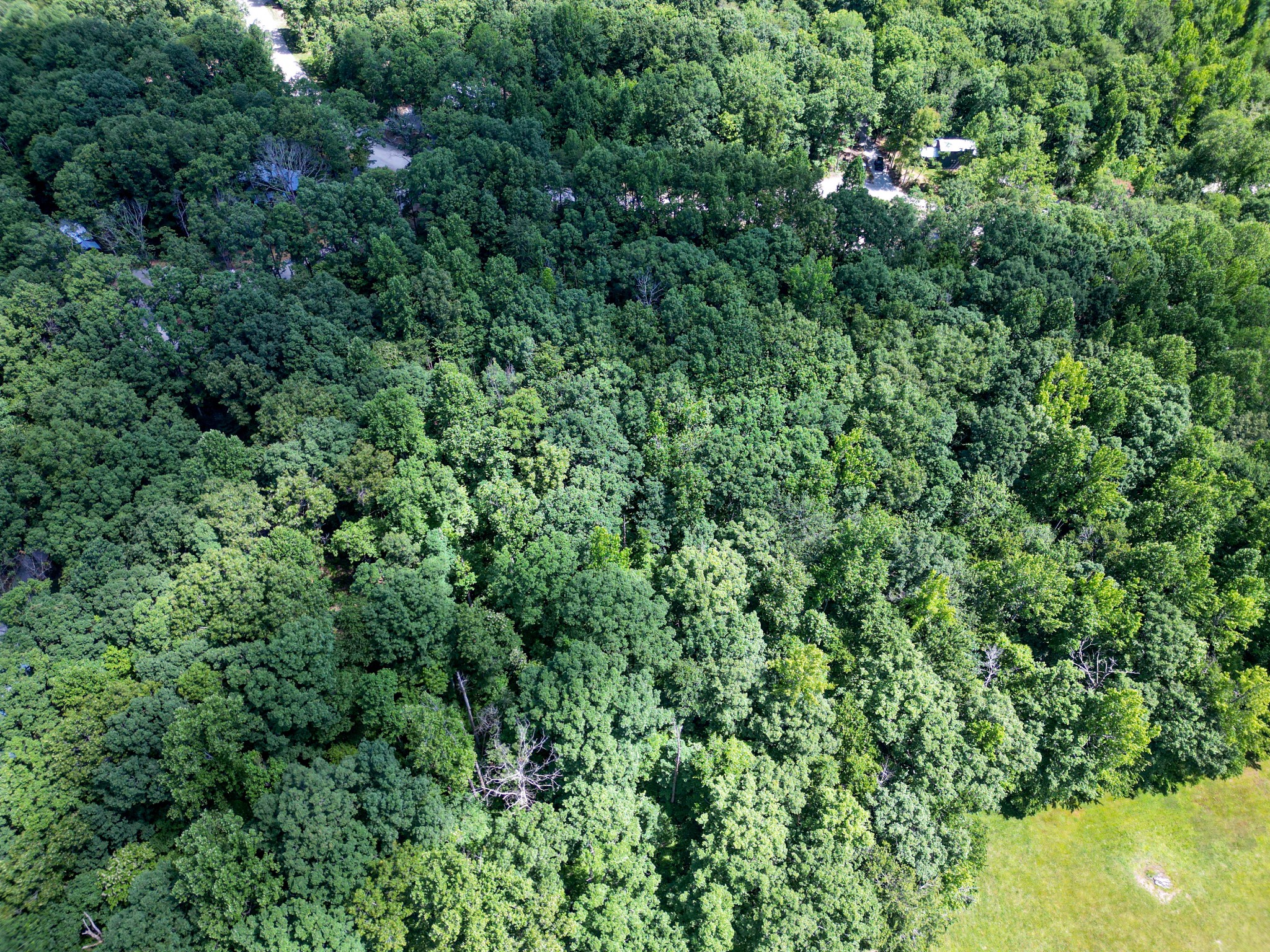 165 Sunset Bluff Monteagle, TN 37356 - Photo 9 of 11