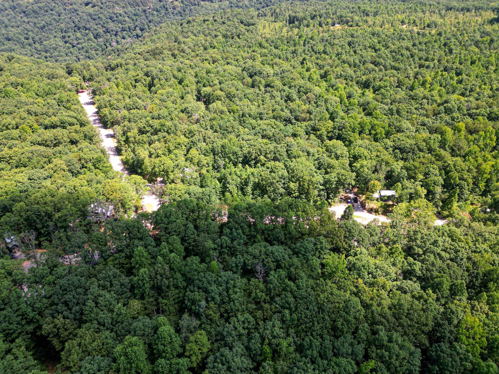 165 Sunset Bluff Monteagle, TN 37356 - Photo 10 of 11