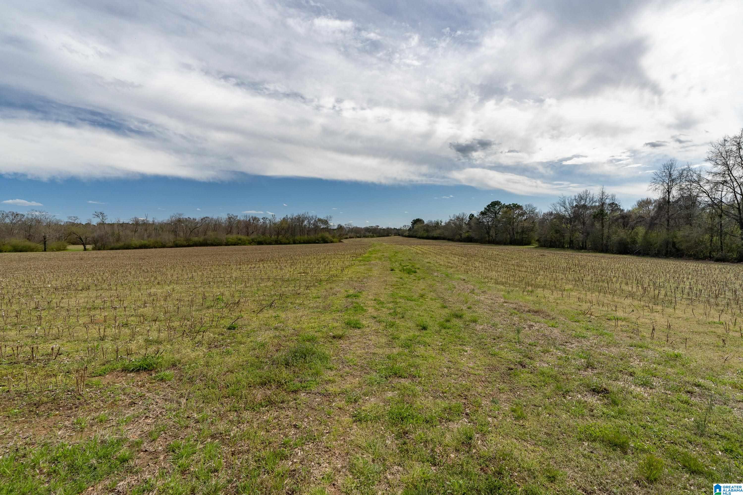 Bates Road, Unit 100 Vincent, AL 35178 - Photo 18 of 29