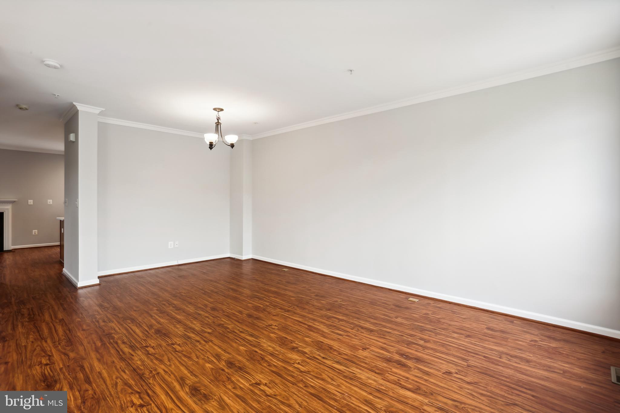 3 Inkberry Circle Gaithersburg, MD 20877 - Photo 20 of 52 Spacious Open Dining & Living Concept