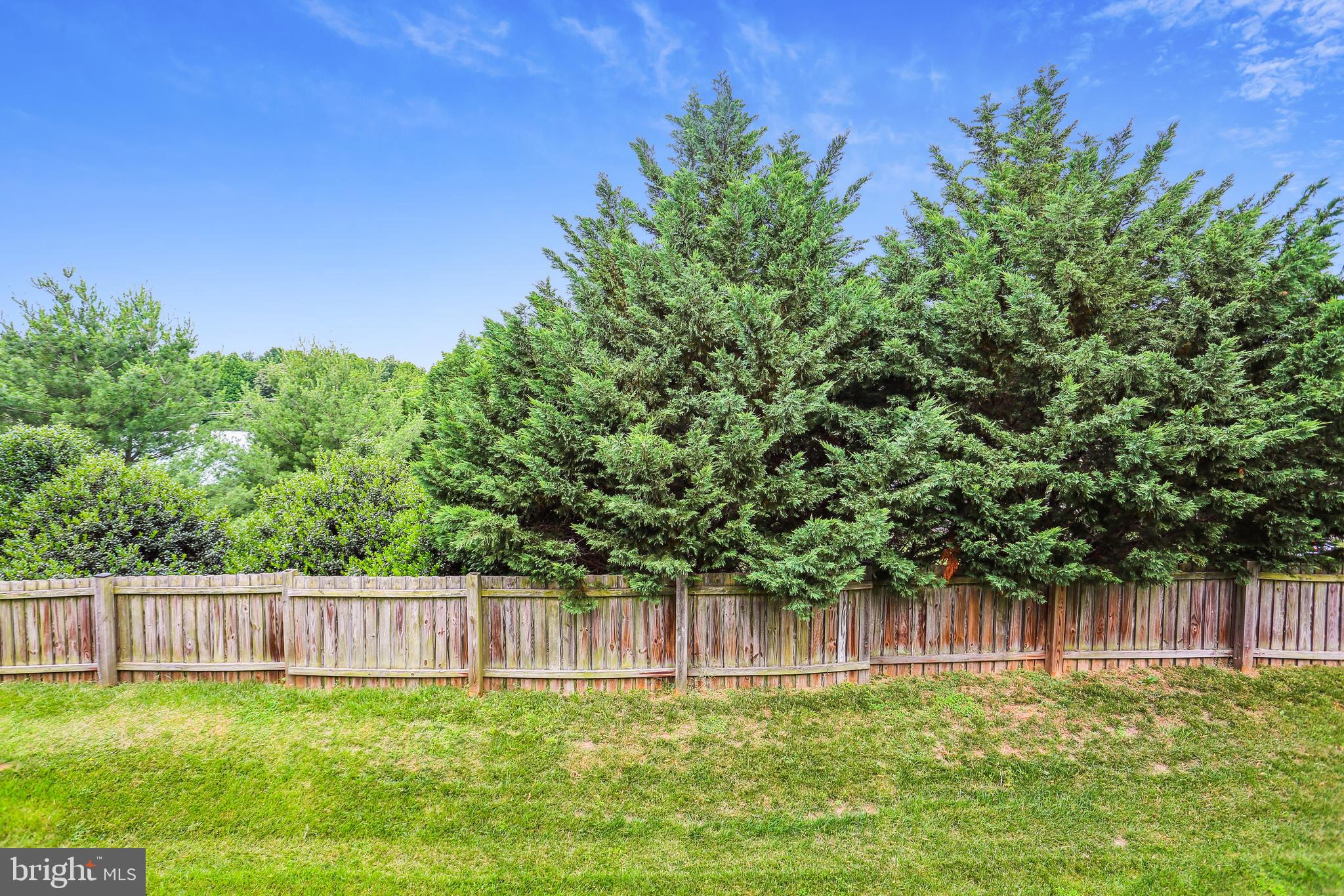 3 Inkberry Circle Gaithersburg, MD 20877 - Photo 41 of 52 Backs to Lush Green Trees