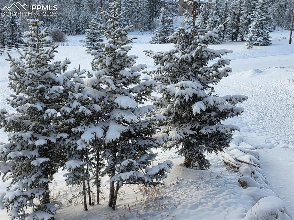 50 Worley Road Divide, CO 80814 - Photo 35 of 47