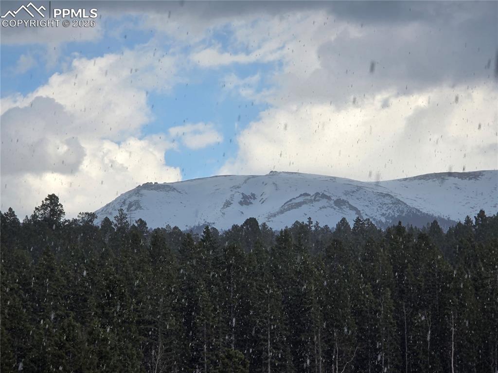 50 Worley Road Divide, CO 80814 - Photo 36 of 47