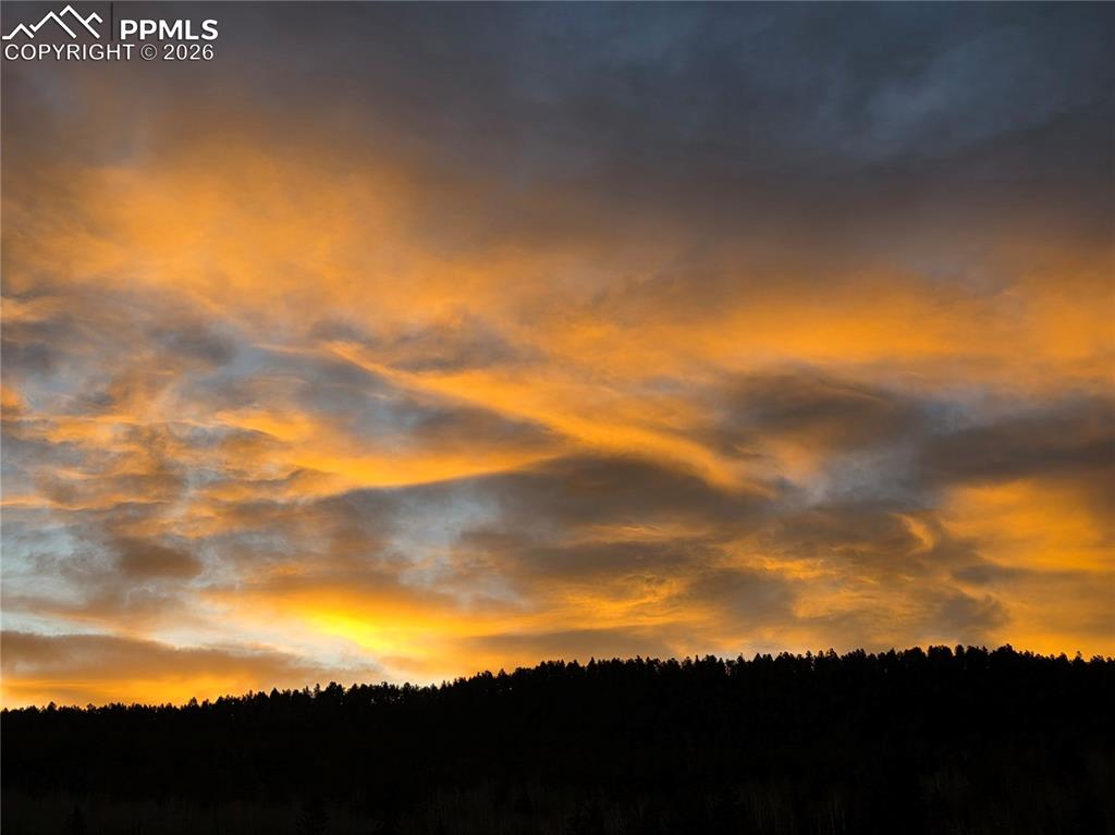 50 Worley Road Divide, CO 80814 - Photo 37 of 47