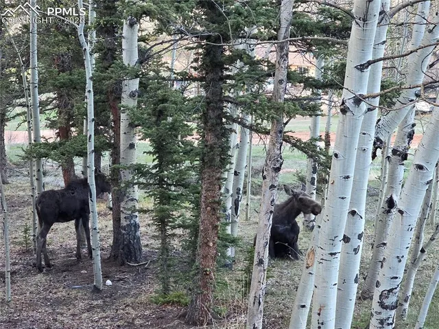 a view of a sky view