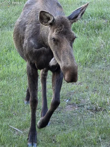 a view of an outdoor space