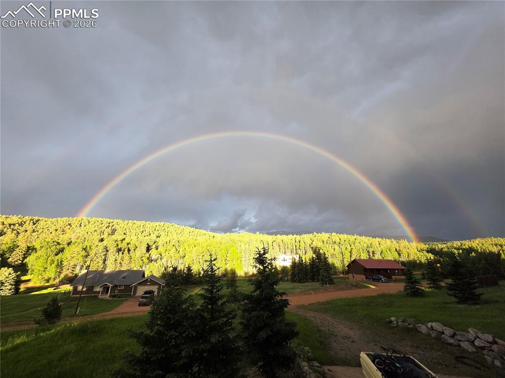 50 Worley Road Divide, CO 80814 - Photo 42 of 47