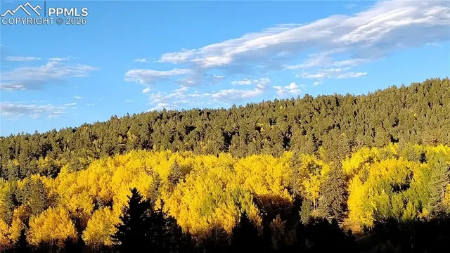 $600,000 | 50 Worley Road, Divide, CO 80814