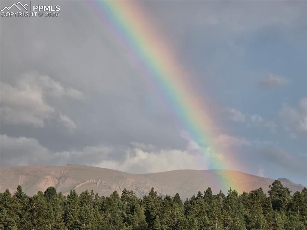 50 Worley Road Divide, CO 80814 - Photo 45 of 47