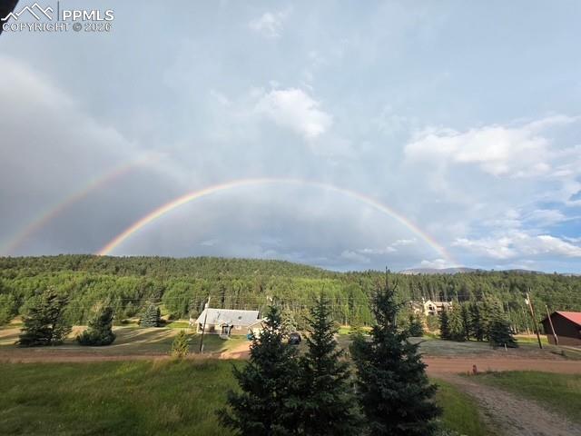 50 Worley Road Divide, CO 80814 - Photo 46 of 47