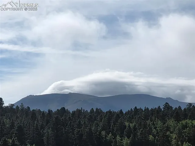 $600,000 | 50 Worley Road, Divide, CO 80814