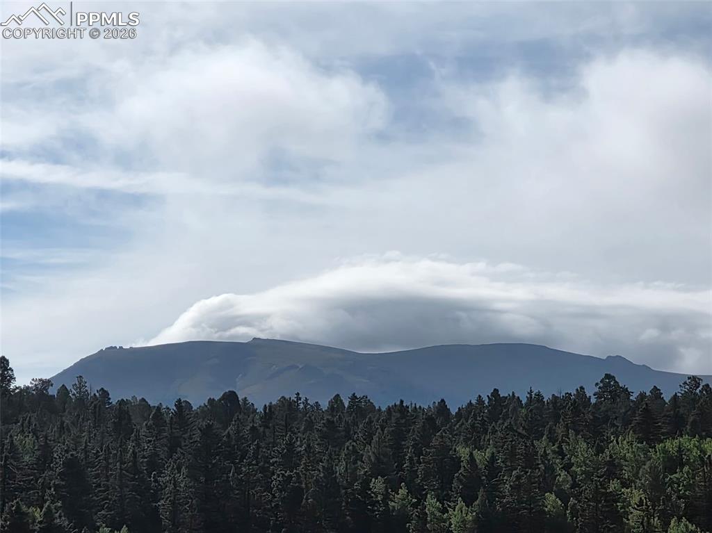 50 Worley Road Divide, CO 80814 - Photo 47 of 47 View from Loft