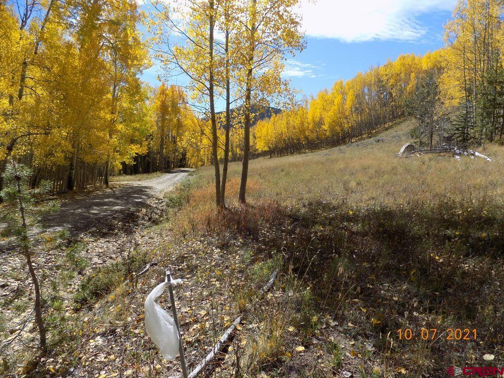 Tbd Chicago Park Road Pitkin, CO 81241 - Photo 3 of 10 Gallery Image 3