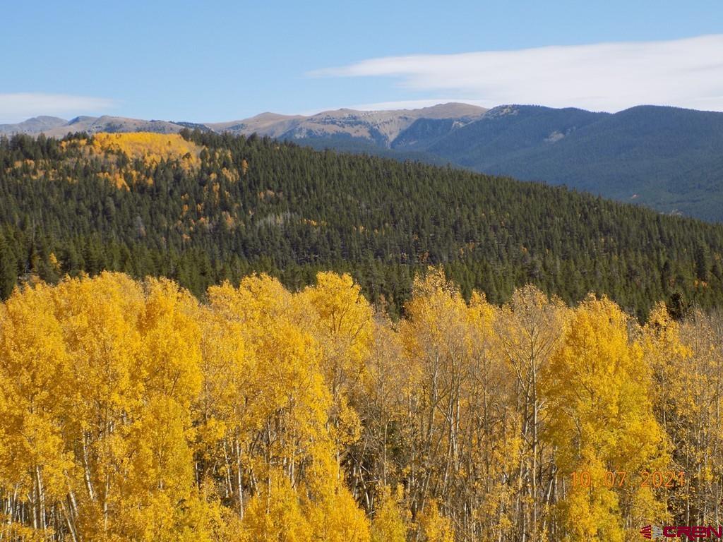 Tbd Chicago Park Road Pitkin, CO 81241 - Photo 4 of 10 Gallery Image 4