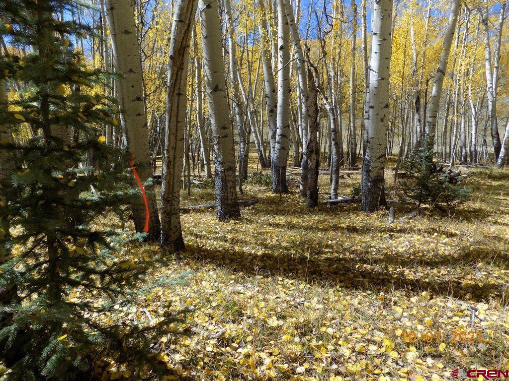 Tbd Chicago Park Road Pitkin, CO 81241 - Photo 6 of 10 Gallery Image 6