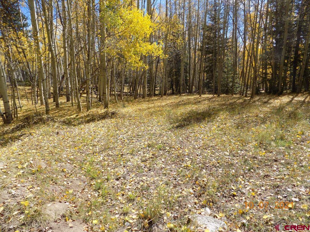 Tbd Chicago Park Road Pitkin, CO 81241 - Photo 8 of 10 Gallery Image 8