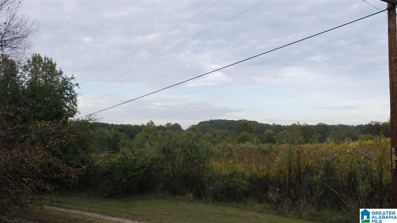 523 Goat Farm Road Anniston, AL 36206 - Photo 5 of 39