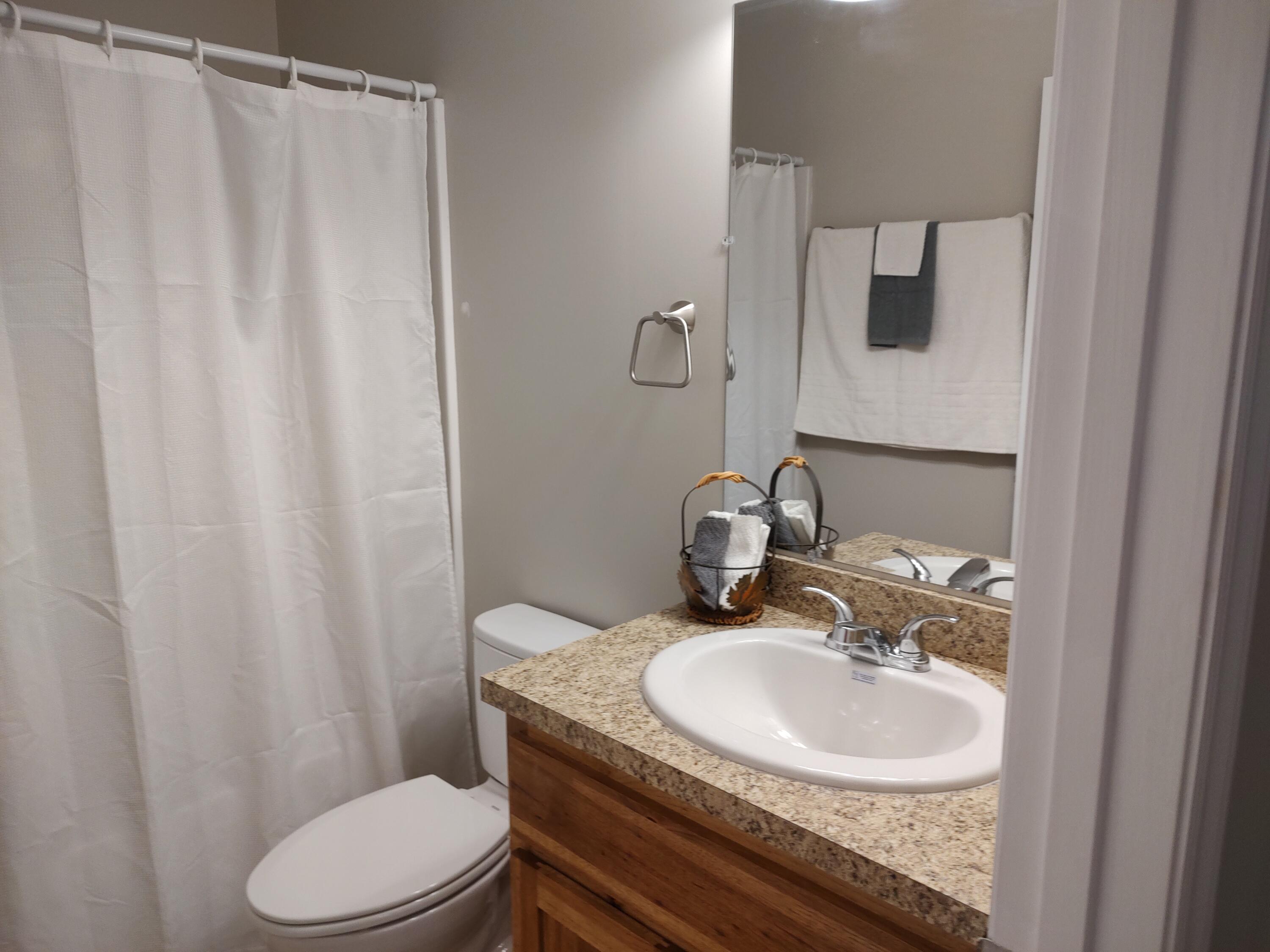 1284 Briar Ridge Road Henry, VA 24102 - Photo 16 of 19 Bath