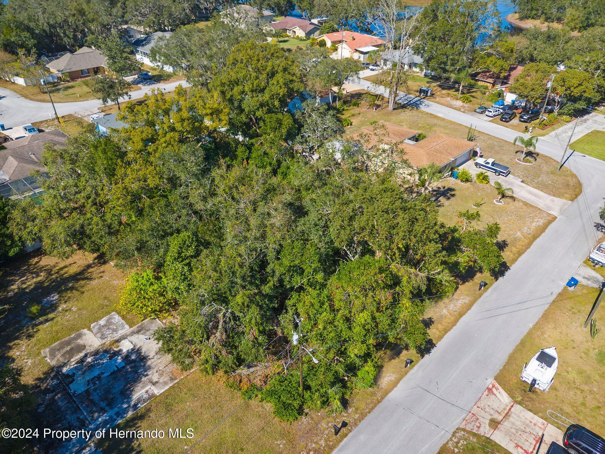 0 Candlewick Avenue Spring Hill, FL 34608 - Photo 2 of 9 a view of a garden