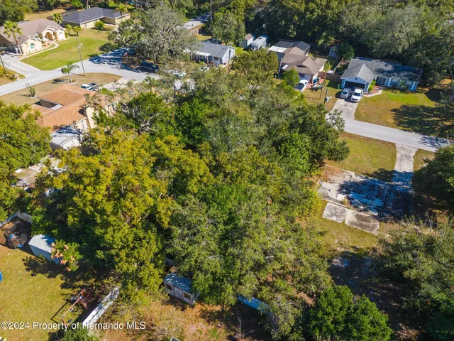 an aerial view of residential houses with outdoor space and trees