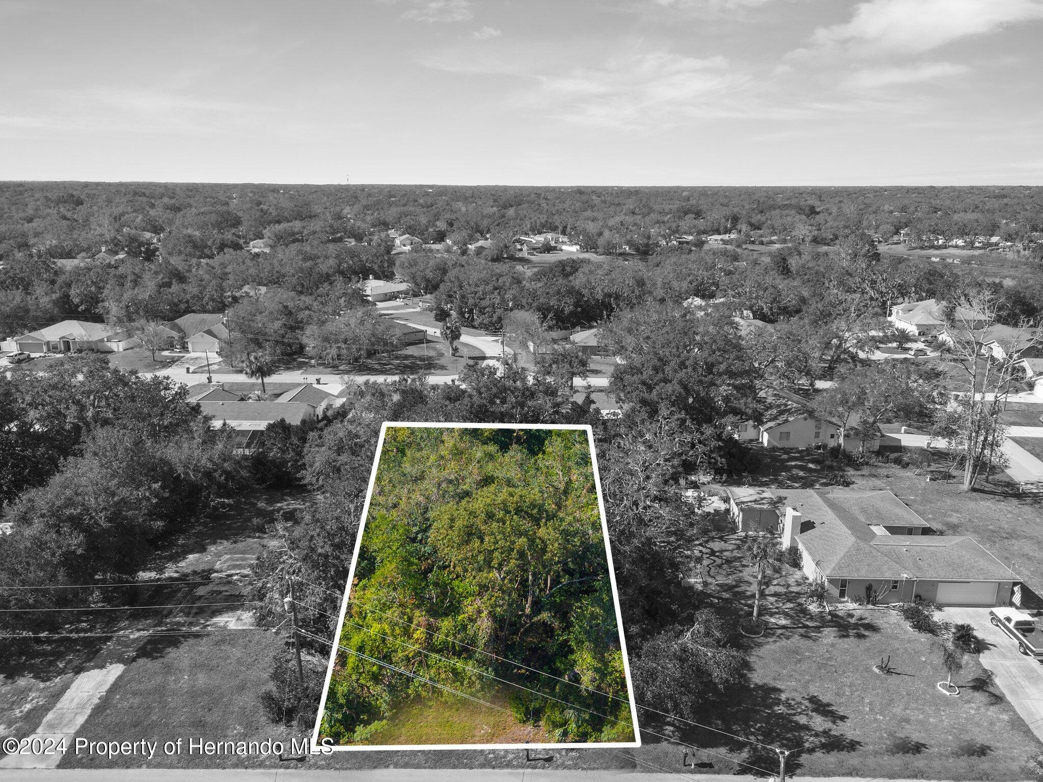 0 Candlewick Avenue Spring Hill, FL 34608 - Photo 8 of 9 a view of a yard